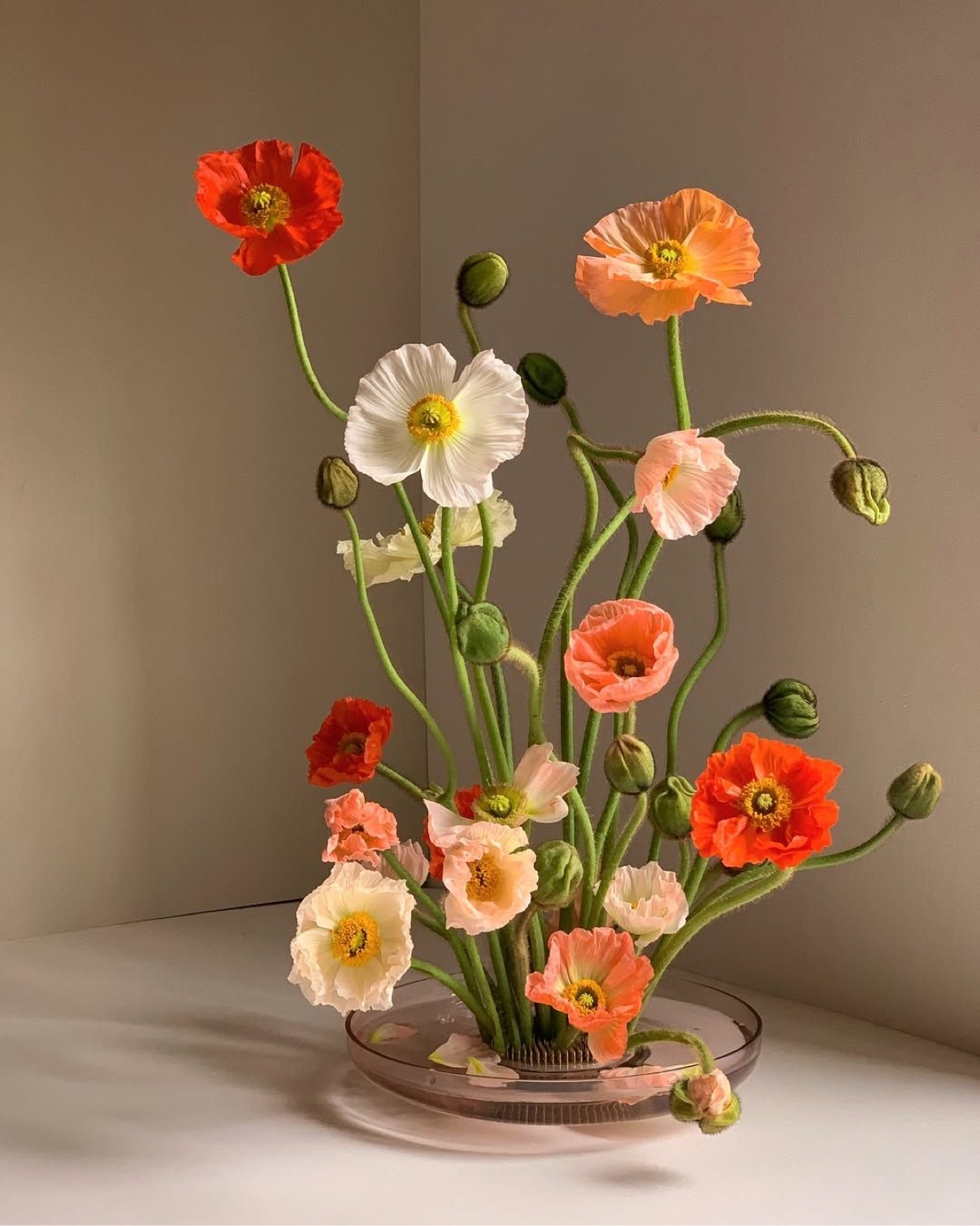 Coral, peach, and white poppies arranged in a low glass bowl